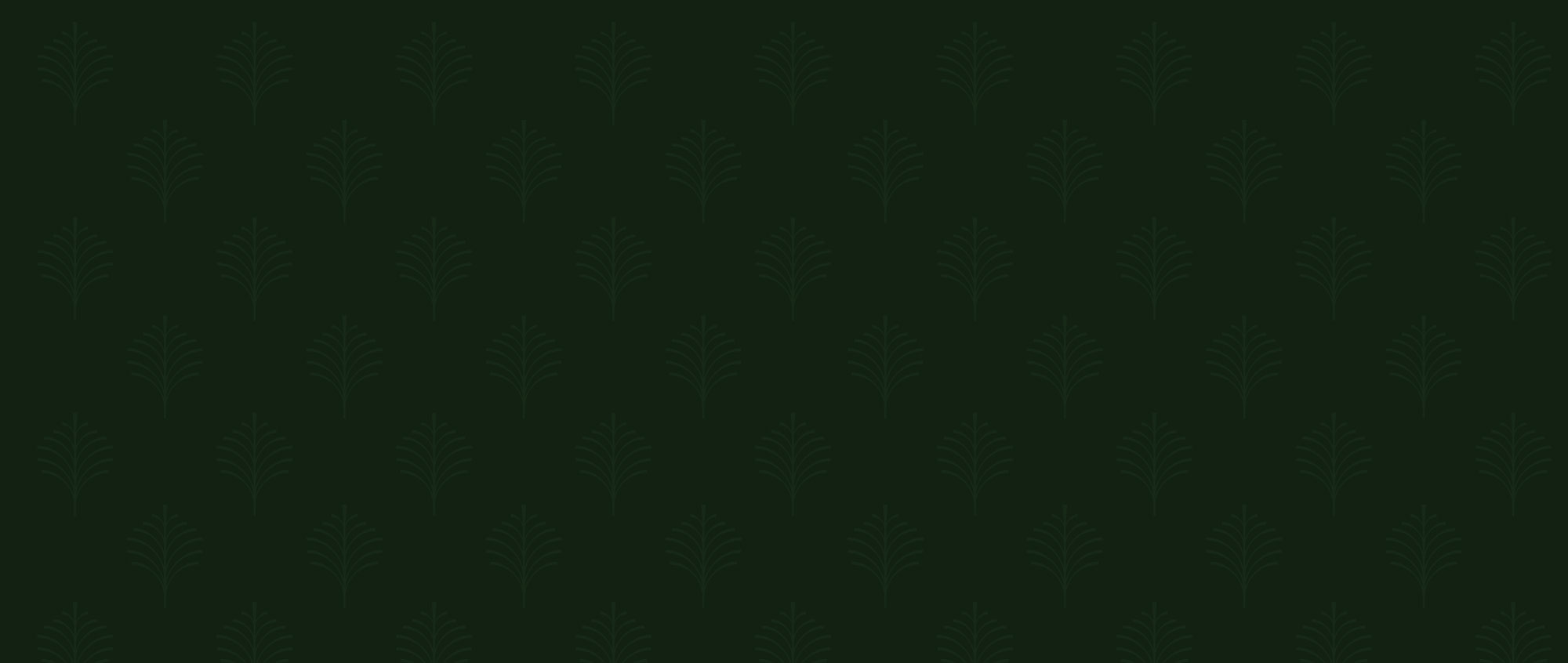 Footer Background